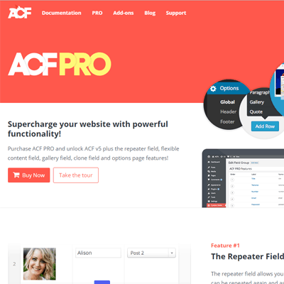 [Lifetime Key] Advanced Custom Fields Pro (ACF)