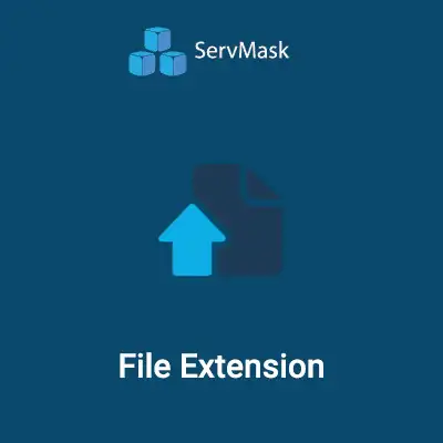 All-in-One WP Migration File Extension