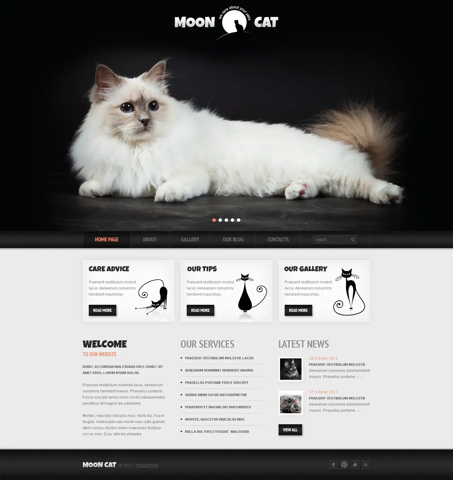 conceptual-cat-wordpress-theme_42117-original Conceptual Cat WordPress Theme