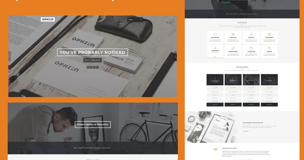 Ophion – Clean WordPress Theme