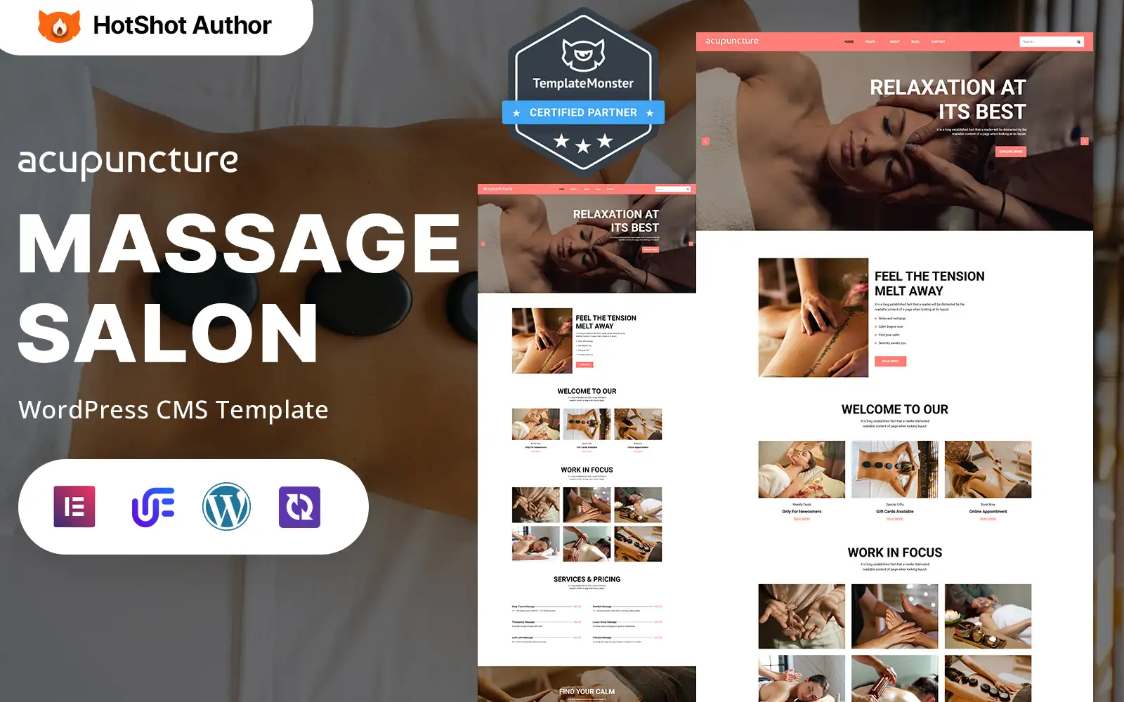 Acupuncture – Luxury Spa And Wellness WordPress Responsive Theme WordPress Theme