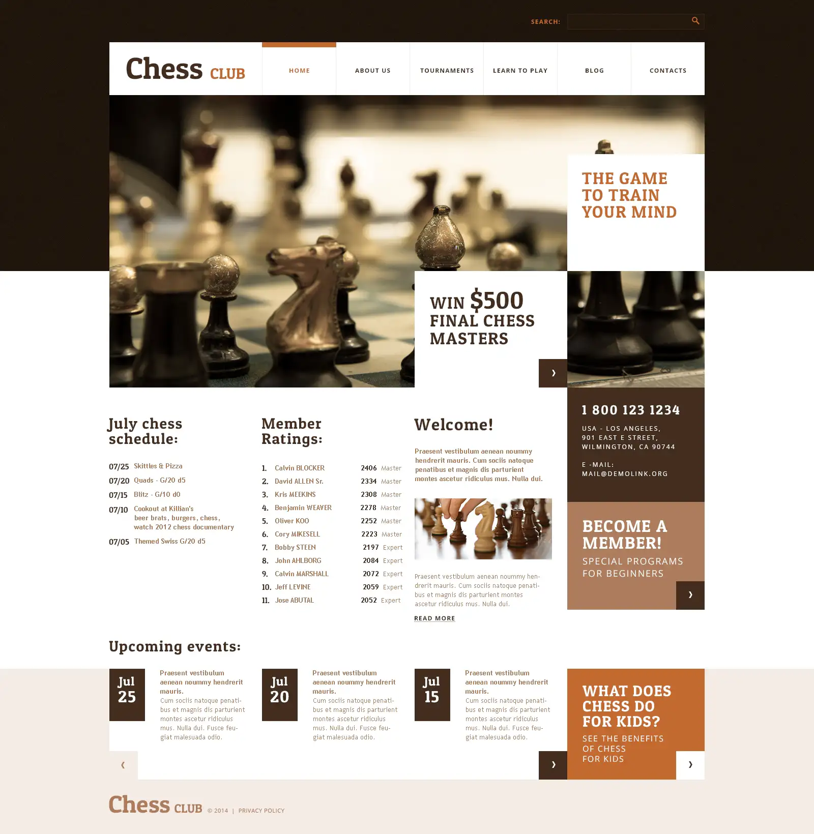 Chess club WordPress Theme