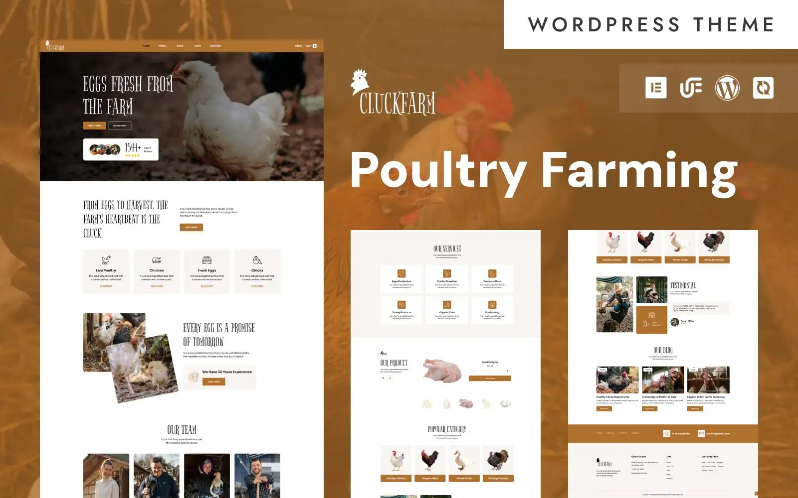 CluckFarm – Organic Egg & Poultry Farming WooCommerce Elementor Theme WooCommerce Theme