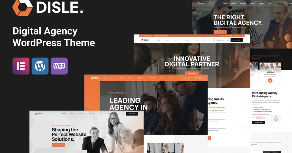Disle – Digital Agency WordPress Theme