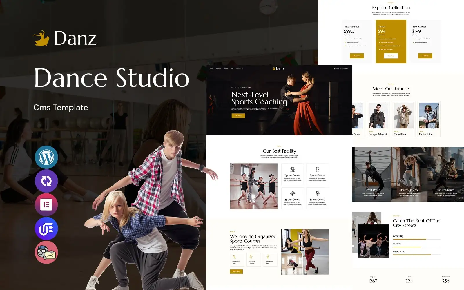 Danz – Dance Studio WordPress Theme WordPress Theme