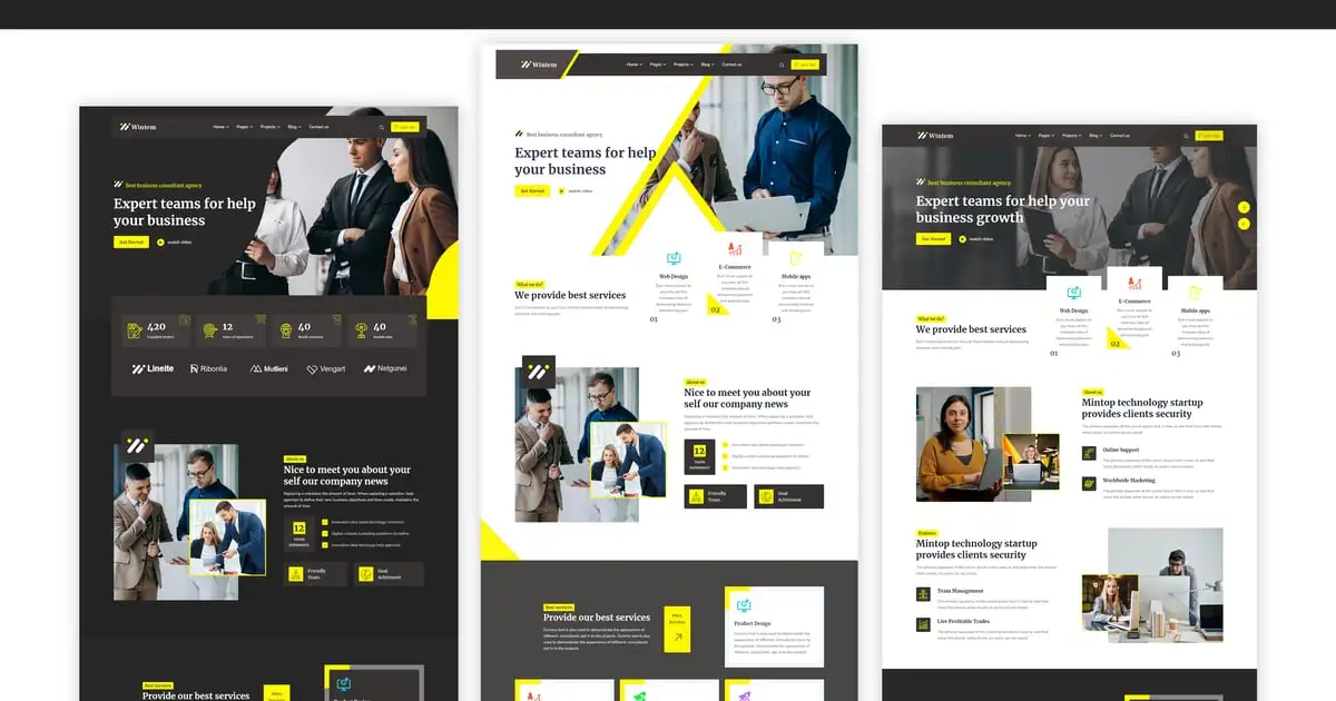 Wintem – Creative Agency WordPress Theme