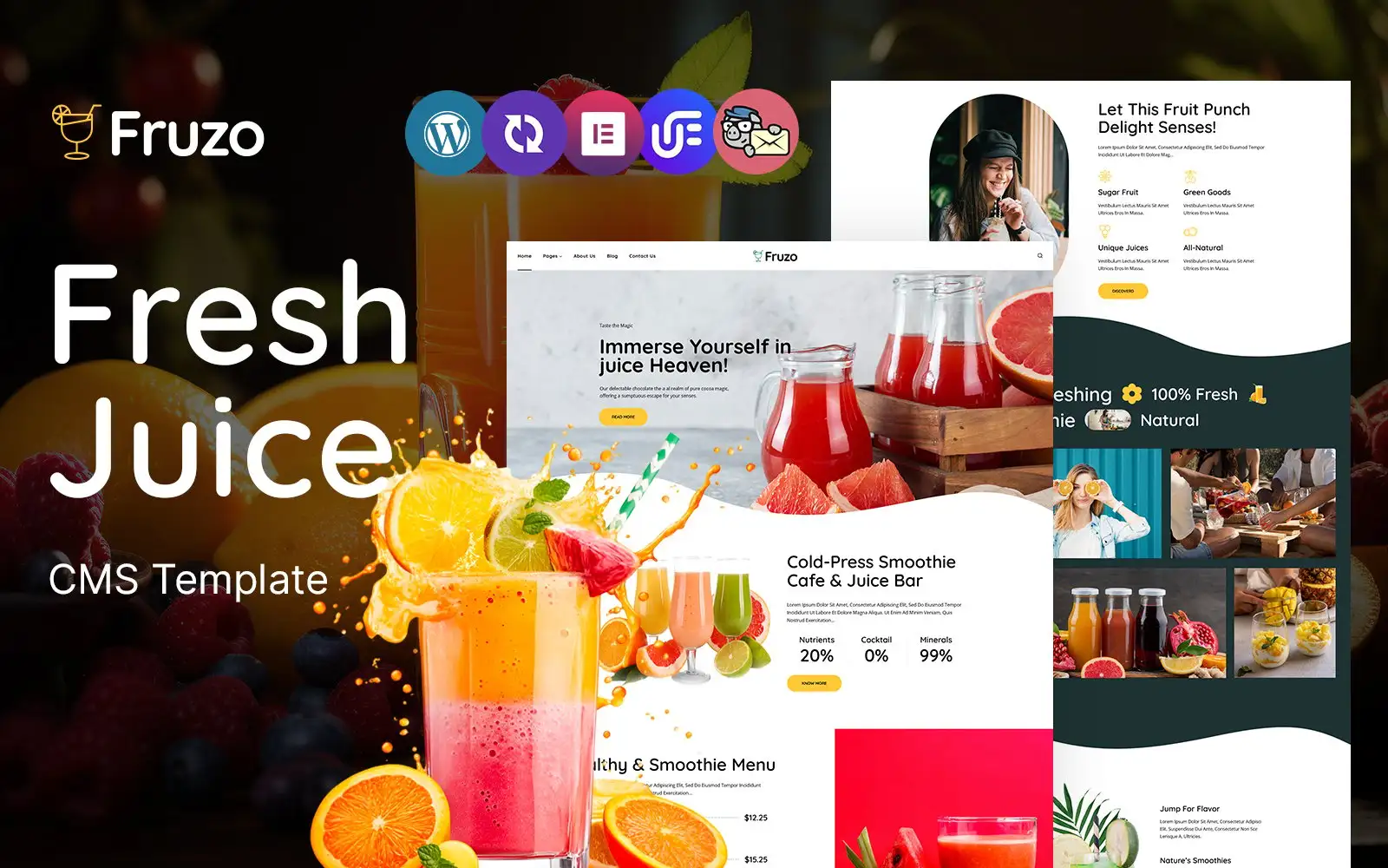 Fruzo – Fresh Juice Store Multipurpose Responsive WordPress Theme