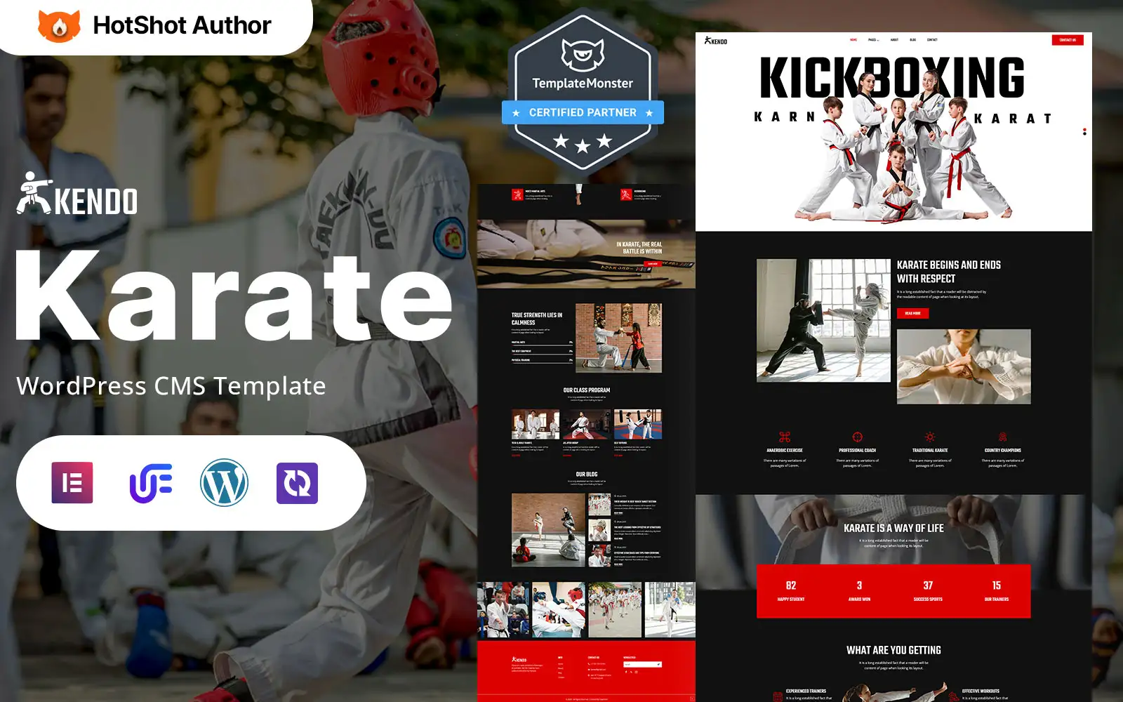 Kendo – Karate Dojo And Martial Arts karate WordPress Responsive Theme WordPress Theme