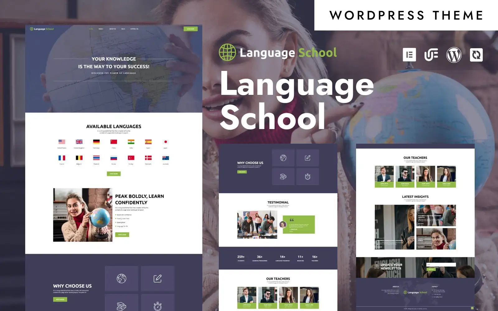 Language School – Language School & Training WordPress Elementor Theme WordPress Theme