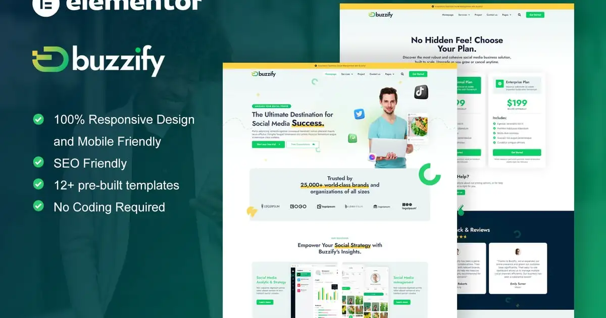 Buzzify – Social Media Marketing Agency Elementor Template Kit