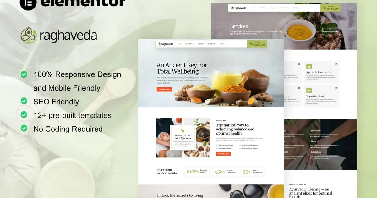 Raghaveda – Ayurveda Treatment & Spa Elementor Template Kit