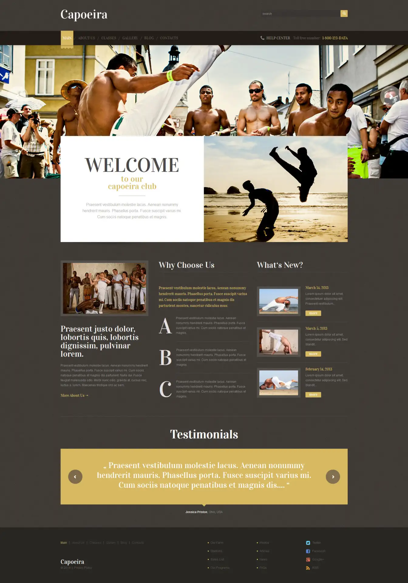 Martial Arts Responsive WordPress Theme