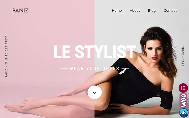 Paniz – Fashion and Apparel WordPress Elementor Theme WordPress Theme