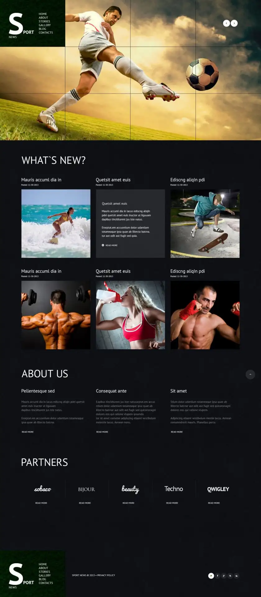 Sports News Responsive WordPress Theme