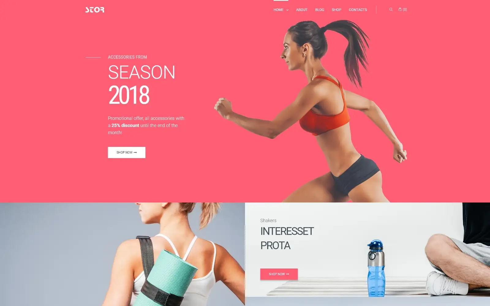 Stor – Fitness Accessories Store Multipurpose Classic Elementor WooCommerce Theme