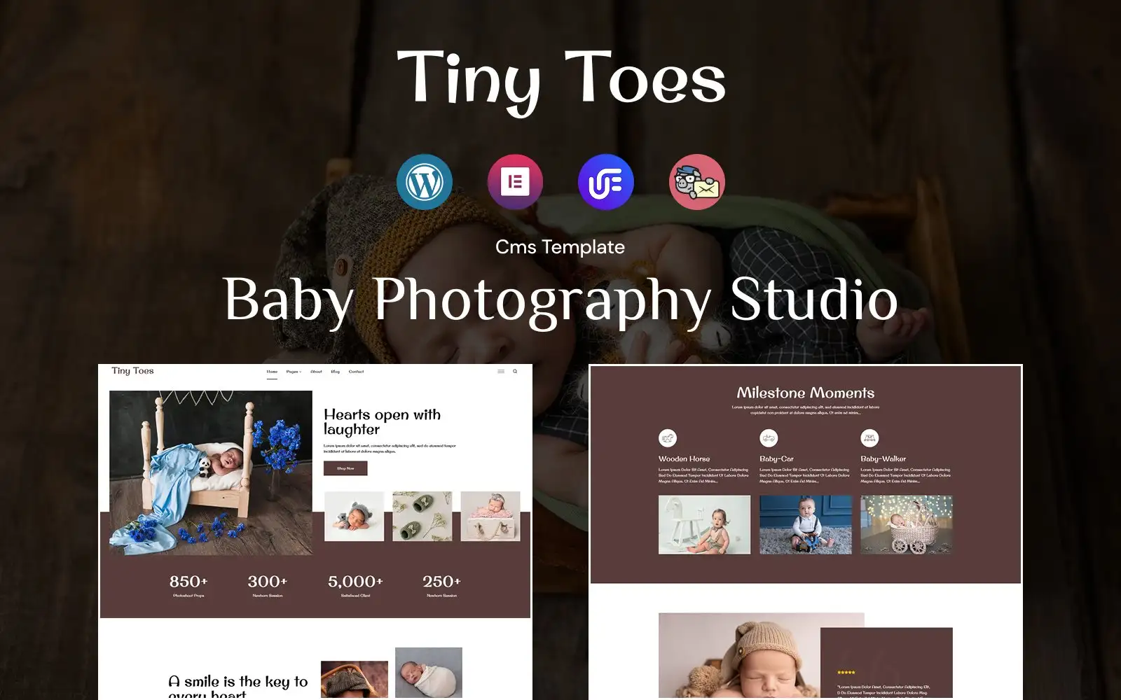 TinyToes – Baby Photography WordPress Theme WordPress Theme