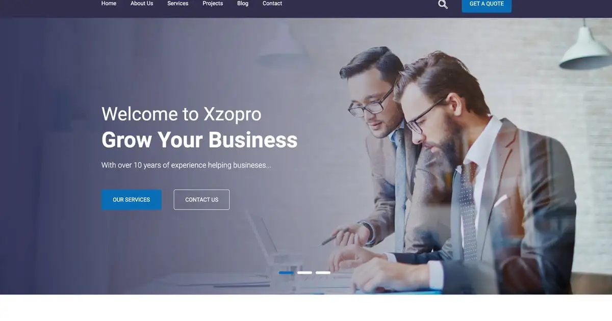 Xzopro – Finance And Business WordPress Theme