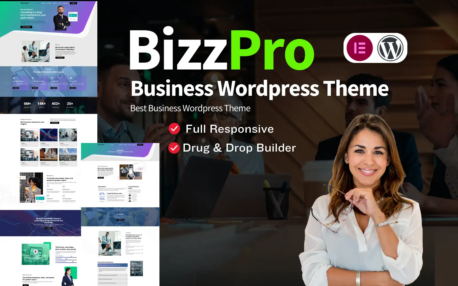 Bizzpro Business Consulting WordPress Theme WordPress Theme
