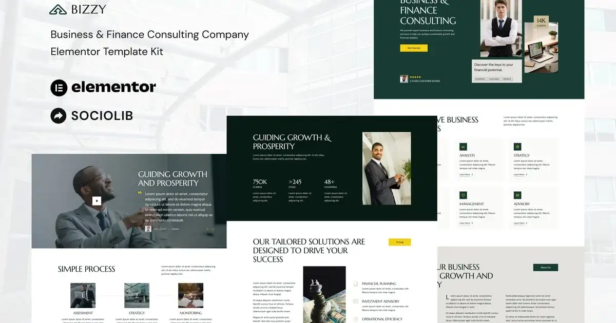 Bizzy – Business & Finance Consulting Company Elementor Template Kit