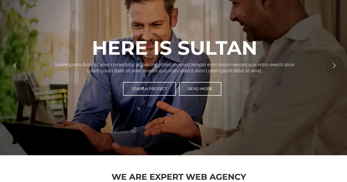 Sultan – One Page Business WordPress Theme