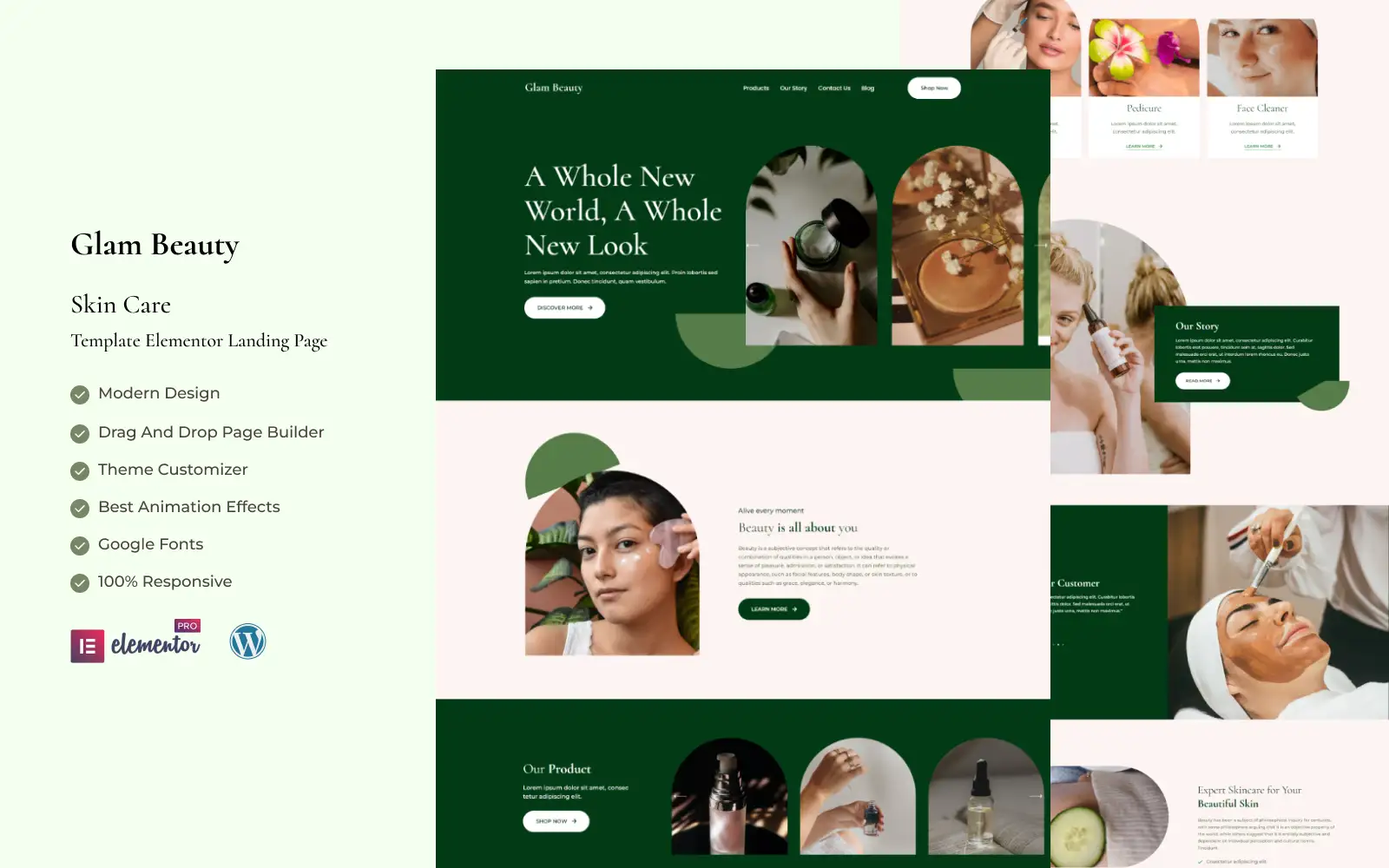 Glam Beauty – Beauty Salon and Spa Elementor Landing Page Elementor Kit