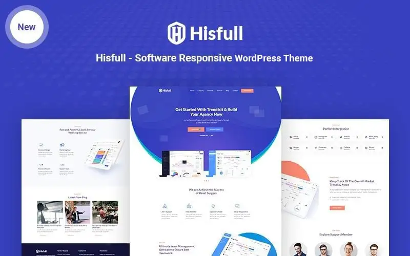 Hisfull – Software Responsive WordPress Theme