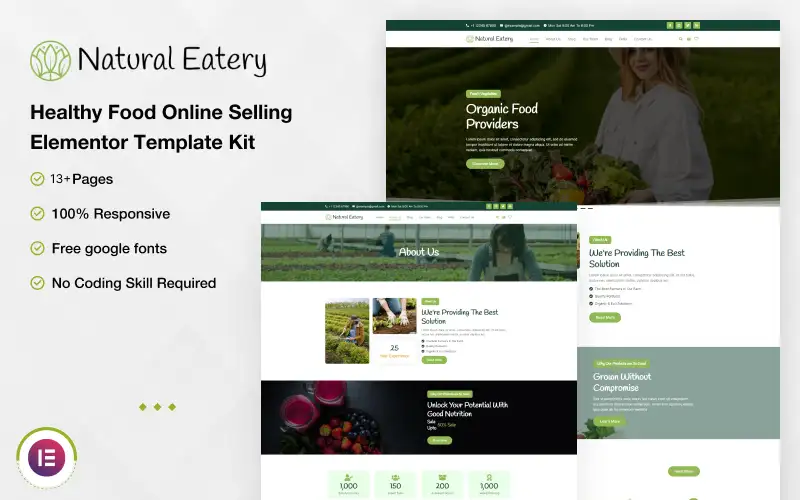 Natural Eatery – Healthy Food Online Selling Elementor Template Kit Elementor Kit