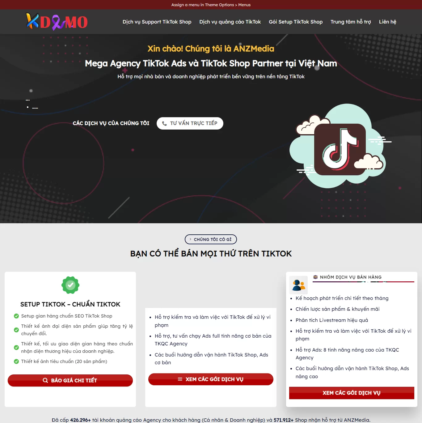 Mẫu Website Agency Quảng Cáo TikTok - Marketing Online - Cài Đặt Sẵn