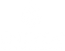 Enlysa-1.png